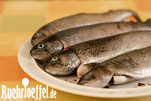 Fisch, Forelle, Forellen